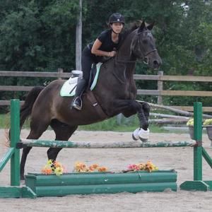 Meet your Posher, Meg